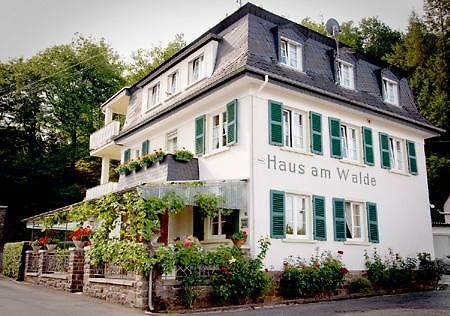 Pension "Haus Am Walde" Brodenbach, Mosel Luaran gambar