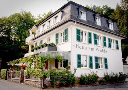 Pension "Haus Am Walde" Brodenbach, Mosel Luaran gambar